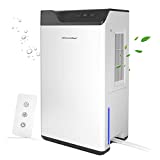 Deumidificatore,Kitette,Doppio Semiconduttore,Telecomando,Serbatoio Dell'acqua 2L Tubo Scarico1.5m,Sbrinamento Automatico,750ml/giorno Deumidificatore Casa Muffa,Deumidificatore Ambienti,Armadio,Bagno