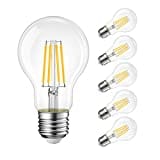 LVWIT Lampadine LED E27 Luce Calda 2700K, Lampadina 11W Equivalenti a 100W, 1521LM, Lampadina LED Filamento A60 Stile Vintage Retrò, Risparmio Energetico, Non Dimmerabile, Pacco da 6 Unità