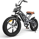 JANSNO Bicicletta Elettrica 20" x 4.0 Fat Tire, 7 Velocità Bici Elettrica, Freni a Disco Meccanici Anteriori e Posteriori, E-Bike per Adulti, Batteria Rimovibile 48V 14Ah