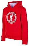 Liverpool F.C. Felpa con cappuccio LFC collezione ufficiale, taglia bambino ragazzo 14 anni