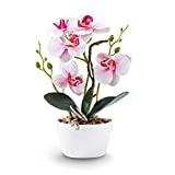 Qucover Orchidea Artificiale Rosa, Fiori Artificiali Pianta Finta con Vaso 31cm per La Decorazione Del Bagno Ufficio Tavola