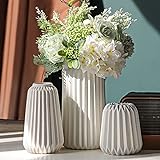 Vasi Deco - Set di 3 Vasi in Ceramica Bianca Per la Casa Moderno, Vasi Opachi Deco Per l'erba Della Pampa, Vaso Deco Estetico Neutro Boho Scandinavo Vasi di Fiori Decorazione