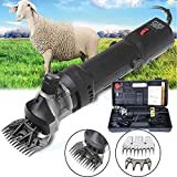 Sinbide 690W 6-speed Regolabile Tosatrice/Tosatrice professionale a lama elettrica per animali Capre di pecora Lamas Alpacas (Nero)