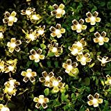 JZK 6.5m Impermeabile catena luminosa led solare da esterno interno fiore stringa lucine luci a LED bianco caldo per decorazione giardino natale matrimonio